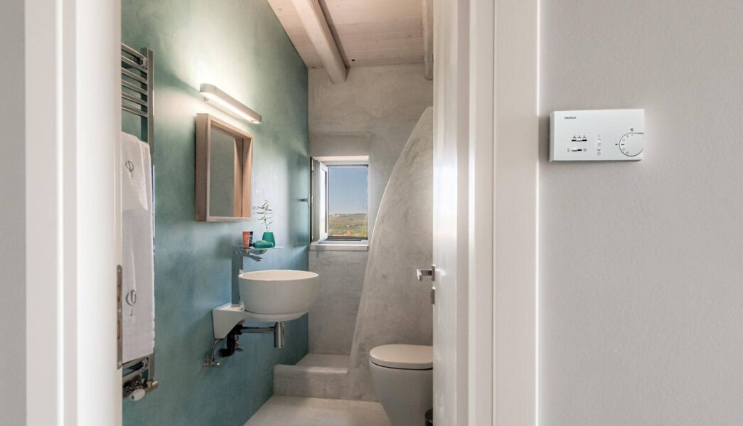 Villa Faidra Olive Grove