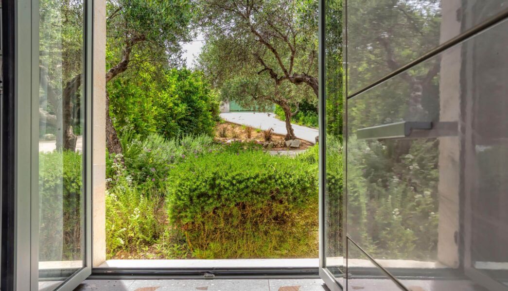Villa Faidra Olive Grove