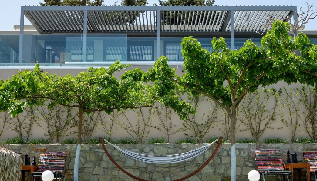 Olive Nest