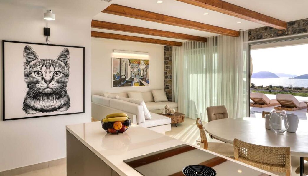 OLIVIA'S Villas Mochlos