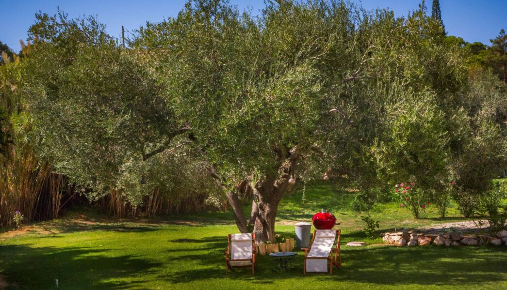 Cozy Kefalonia Villa