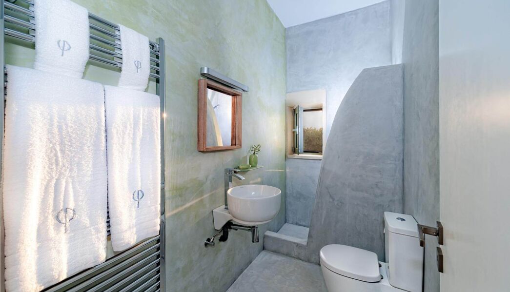 Villa Faidra Olive Grove