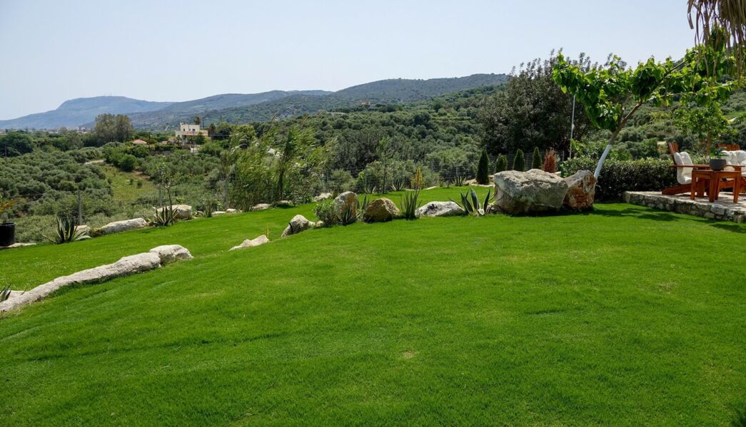 Olive Nest